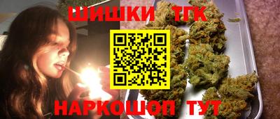 стаф Будённовск